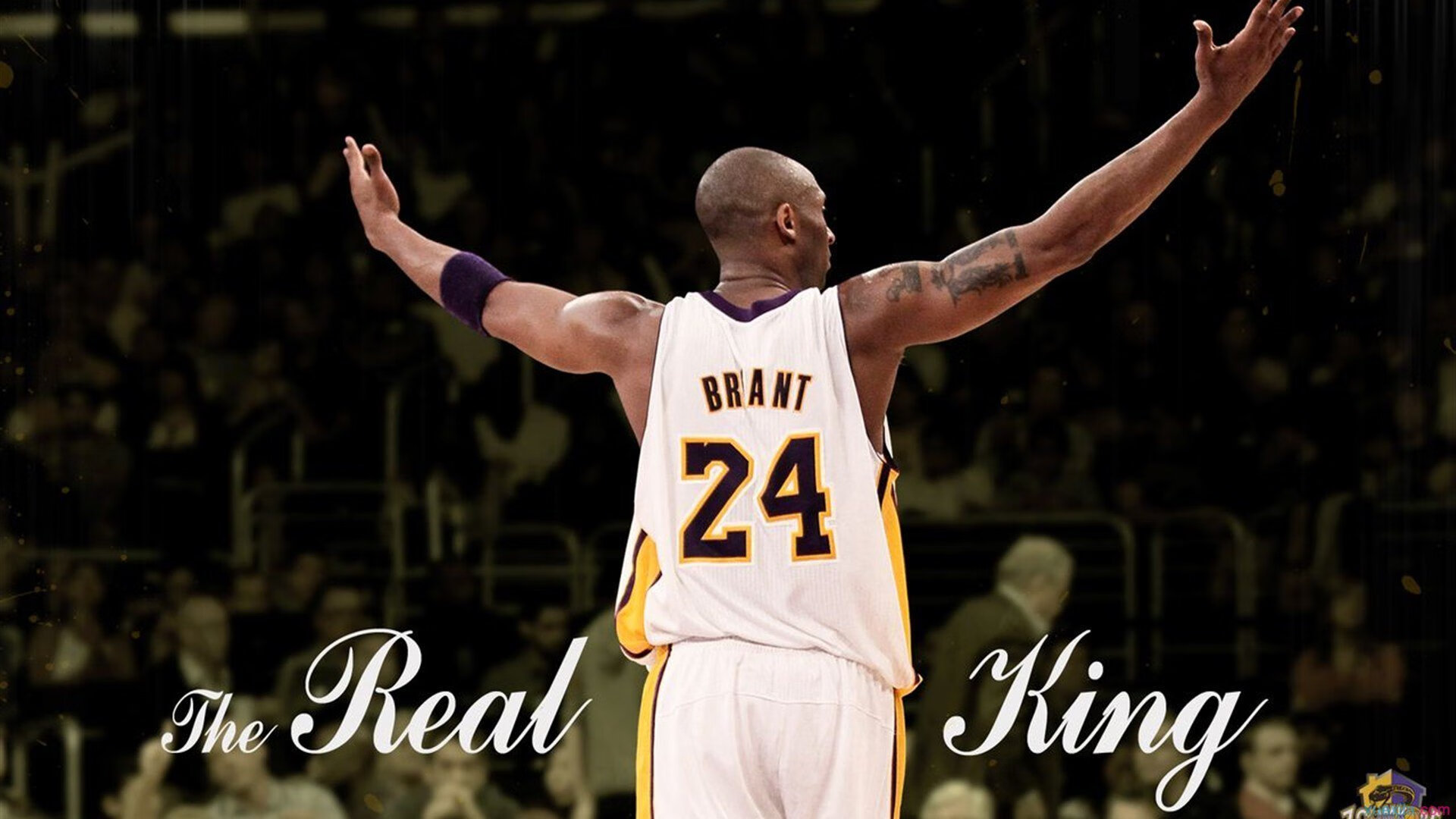 开云体育下载-载入史册的史诗对决,拉沃尔杯绝杀温网,蒂姆演绎高光之夜